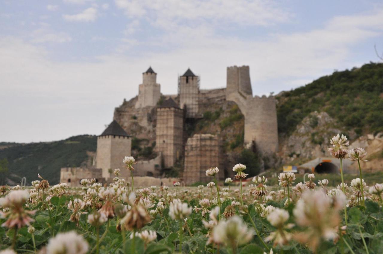 Vila Stara Kovacnica Golubac Exteriér fotografie