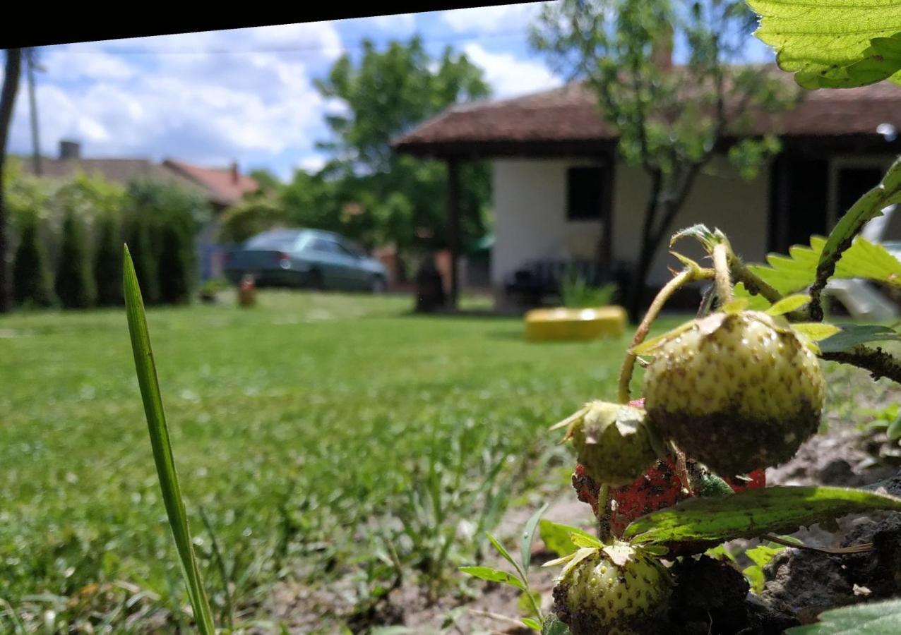 Vila Stara Kovacnica Golubac Exteriér fotografie